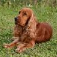 Photo #141247 de Bourbon
