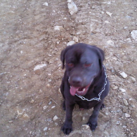 Photo #141289 de Aenzo