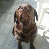 Photo #141295 de Aenzo