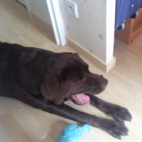 Photo #141409 de Aenzo