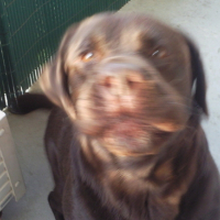 Photo #141415 de Aenzo