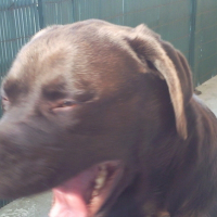 Photo #141421 de Aenzo