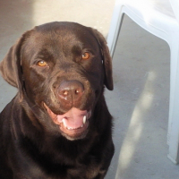 Photo #141427 de Aenzo
