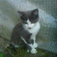 Photo #141643 de Jack