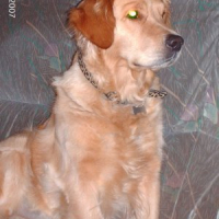 Photo #141703 de Ulla