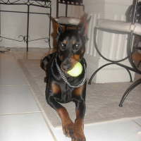 Photo #142099 de Uness