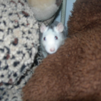 Photo #142717 de Lili