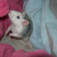 Photo #142729 de Lili