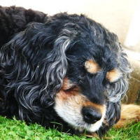 Photo #143473 de Oona