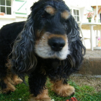 Photo #143479 de Oona