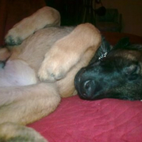 Photo #143653 de Spike