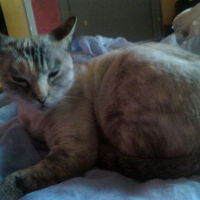 Photo #144277 de Tincky
