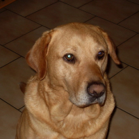 Photo #144313 de Turron