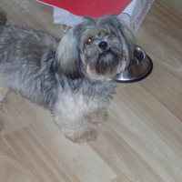Photo #144373 de Dioxy 