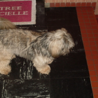 Photo #144379 de Dioxy 
