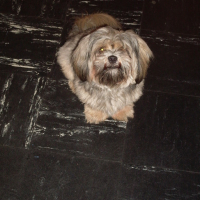 Photo #144385 de Dioxy 
