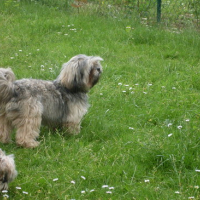 Photo #144391 de Dioxy 