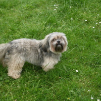 Photo #144397 de Dioxy 