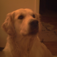 Photo #144415 de Looping