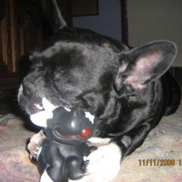 Photo #144451 de Louna