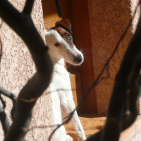 Photo #144667 de Argos vallauris des astucieux