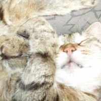 Photo #144739 de Loona