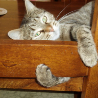 Photo #144757 de Loona