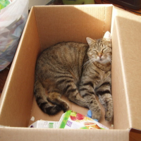 Photo #144763 de Loona