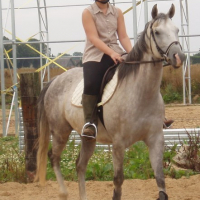 Photo #144793 de Bold silver