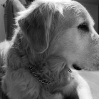Photo #144829 de Sanka