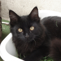 Photo #145735 de Bob