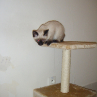 Photo #145801 de Eden