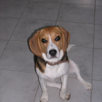 Photo #145969 de Youki