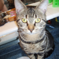 Photo #146119 de Lola