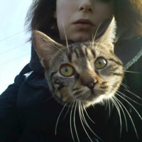 Photo #146167 de Lola