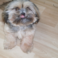 Photo #146437 de Dioxy 