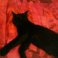 Photo #146521 de Gaby