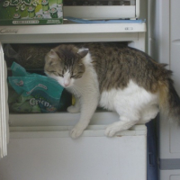 Photo #147163 de Libertin