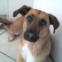 Photo #147361 de Skaly