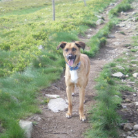 Photo #147379 de Skaly
