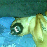 Photo #147769 de Skaly