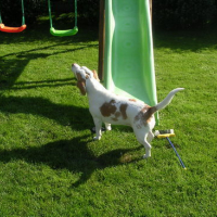 Photo #148483 de Roxane