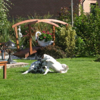 Photo #148507 de Roxane