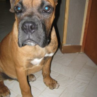 Photo #148741 de Deven