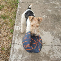 Photo #151123 de Buster