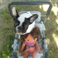 Photo #151159 de Dora