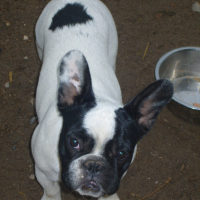 Photo #151165 de Dora