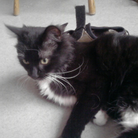 Photo #151237 de Eureka