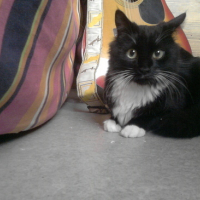 Photo #151243 de Eureka