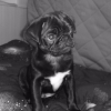 Doug_2009_02_28